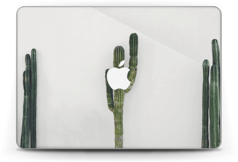 Mexican Cactus - Macbook Pro 13-inch (800x560), Png Download