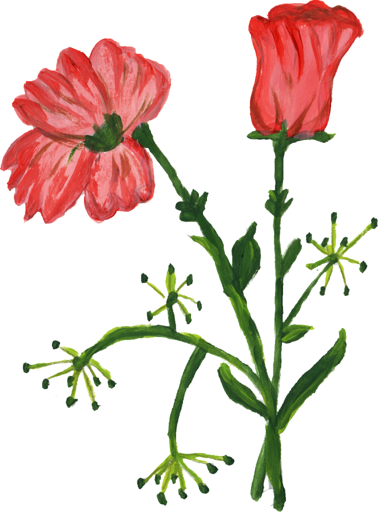10 Paint Flower Png Transparent Onlygfx Com - Flower Png Paint (756x1024), Png Download