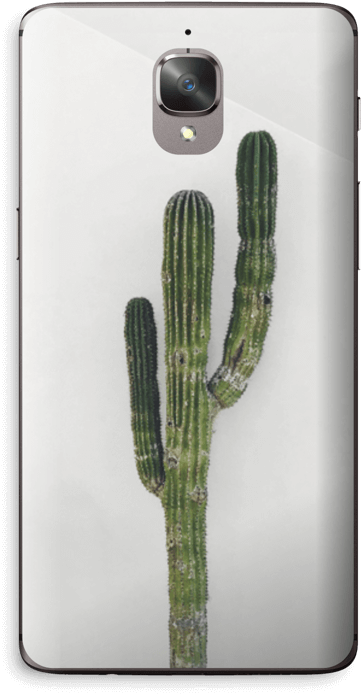 Mexican Cactus - Oneplus 3t (412x800), Png Download