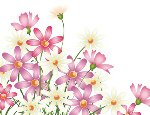 5 - Corner Flower Borders Png (500x385), Png Download
