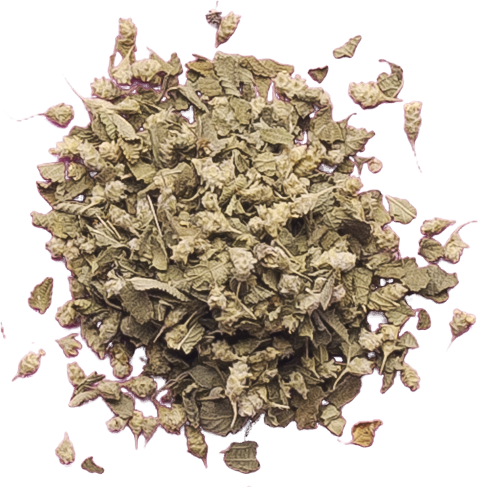 Reviews - Hydrangea (700x700), Png Download