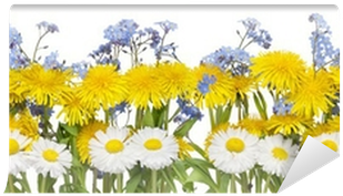Stock Photography (400x400), Png Download