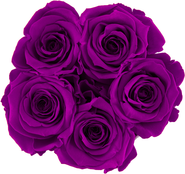 Prev - Roses In A Box - Bella's Flower Shop (700x654), Png Download