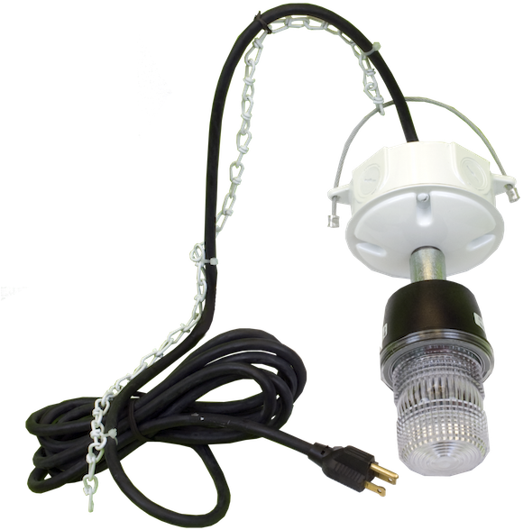 Download Evictor Strobe Lights For Squirrels In Attics Evictor Strobe