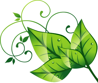 Hojas Naturales Png - Nature Background (392x334), Png Download