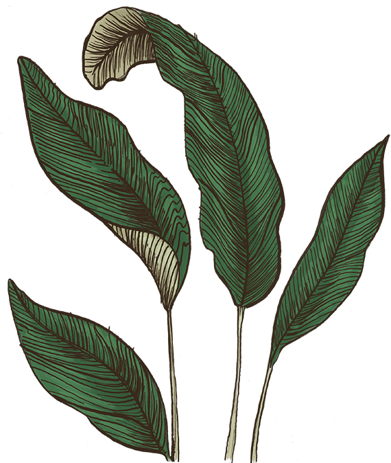 Art (577x677), Png Download