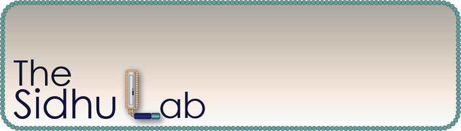 Top 2018 2017 2016 2015 2014 2013 2012 2011 2010 2009 - Synthetic Antibody Library (910x260), Png Download