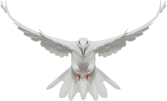 Designer & Construção - Andrew Zuckerman (537x325), Png Download