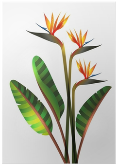 World Menagerie Greve Strand Flower Ombre Colored Botanic (400x400), Png Download