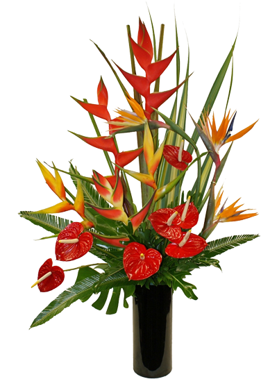 Double "b" Exotic Gardens, Established In 1981, Was - March 8 (443x558), Png Download