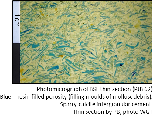 Picture - Limestone (547x392), Png Download
