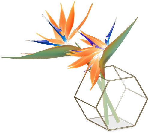 Art (500x450), Png Download