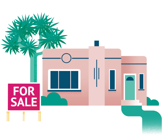 This Information On Learning About The Property May - Sabal Palmetto (577x467), Png Download