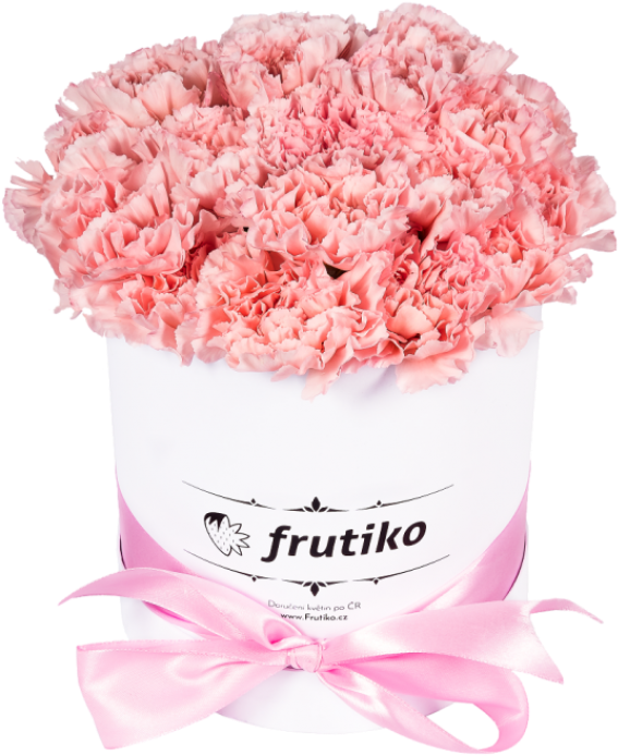 Pink Carnations White Oval Box - Cardboard Box (687x846), Png Download