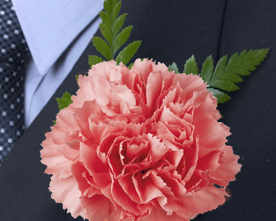 More Views (400x320), Png Download