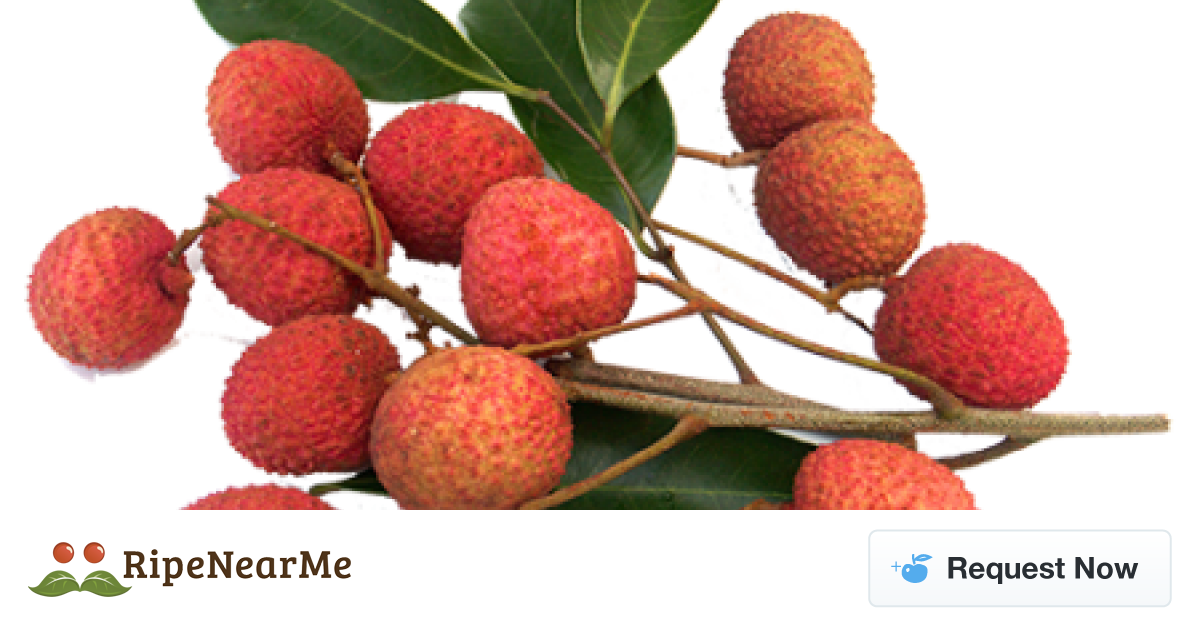 Lychees Fruit (1200x630), Png Download