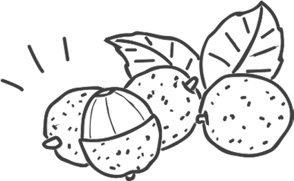 Green Tea - Lychee - Line Art (640x864), Png Download