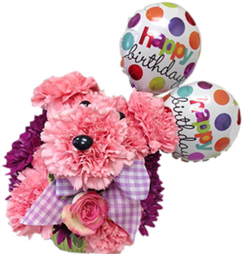 Carnation Puppy Birthday - 21 Inch Happy Birthday Circles - Flat (600x600), Png Download