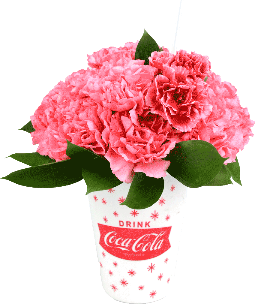 Coca Cola (1024x1024), Png Download