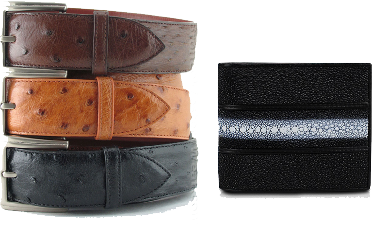 Exotic Skin Goods - Belt (800x500), Png Download