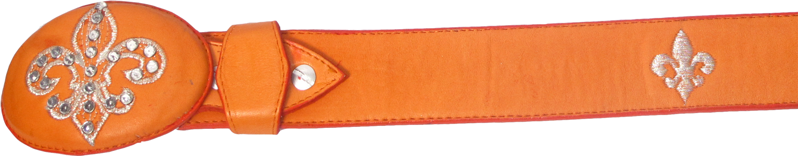 Cinto Vaquero Bordado C51224 Cinto Vaquero Bordado - Embroidery (1620x353), Png Download