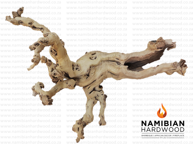 Wild Vines - Root (640x480), Png Download