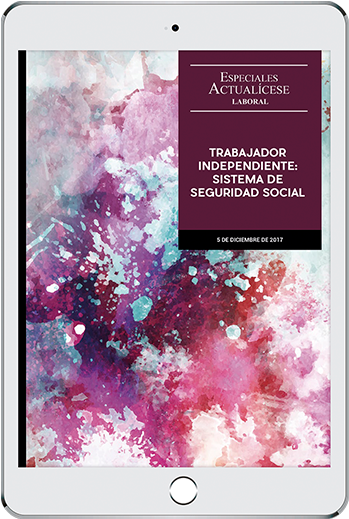 Especial-trabajador - 2017-2018 Academic Planner By Academic Plannerz (400x600), Png Download