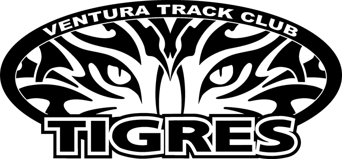 Tigres Black Png Lg - Tribal Tiger (706x329), Png Download