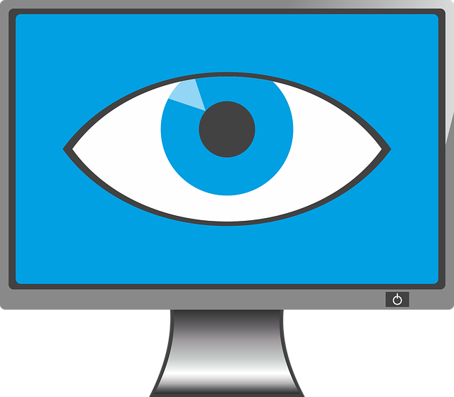 Comunicacines Privadas - Monitor Eye (640x559), Png Download