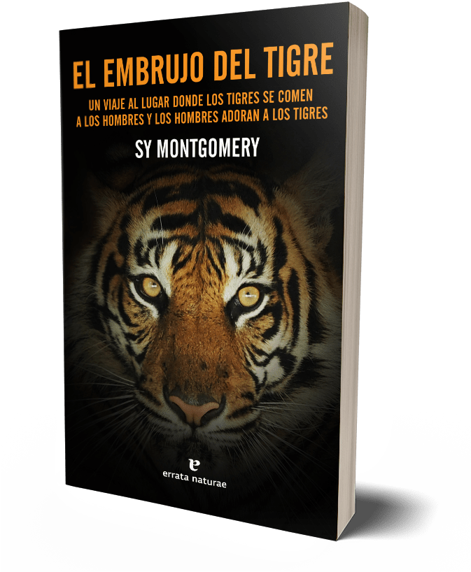 El Embrujo Del Tigre - Mojo Presents Well All Right (716x945), Png Download