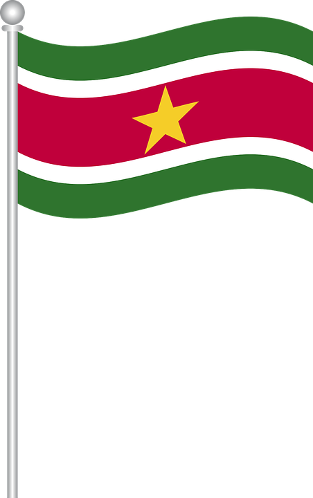 Flag Of Suriname, Flag, Country, World, Nation - Suriname Flag (452x720), Png Download