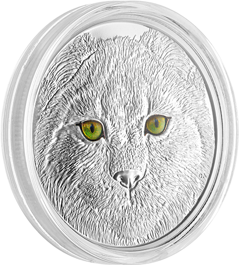 Silver (570x570), Png Download