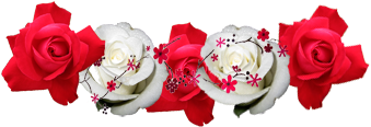 No Pondré Video En Las Entradas De Pngs Porque Se Ven - Corona De Flores Png (500x500), Png Download