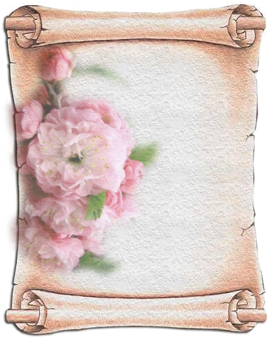 Pergaminhos Em Branco, Papiros,scrolls,papyri, Com - Geographics 46886s Design Suite Paper, 24 Lbs, Scroll, (377x480), Png Download