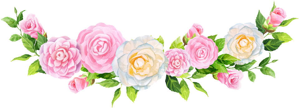 Pintado A Mano Ranunculus Flores Png Material Transparente - Png กรอบ ดอกไม้ (1024x491), Png Download