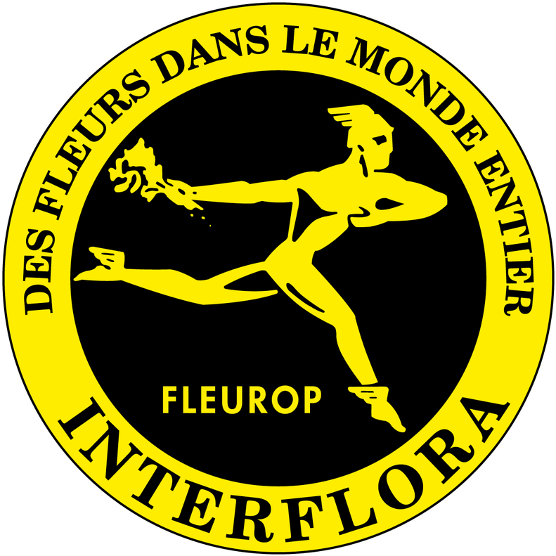 Imagen - Interflora (800x800), Png Download