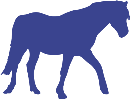 Horse (600x600), Png Download