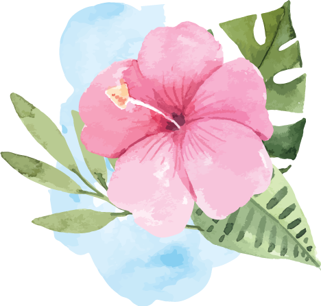 Budget (468x446), Png Download