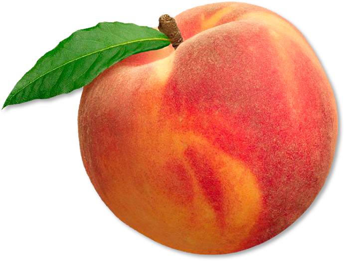 Download - Peach Png (750x558), Png Download
