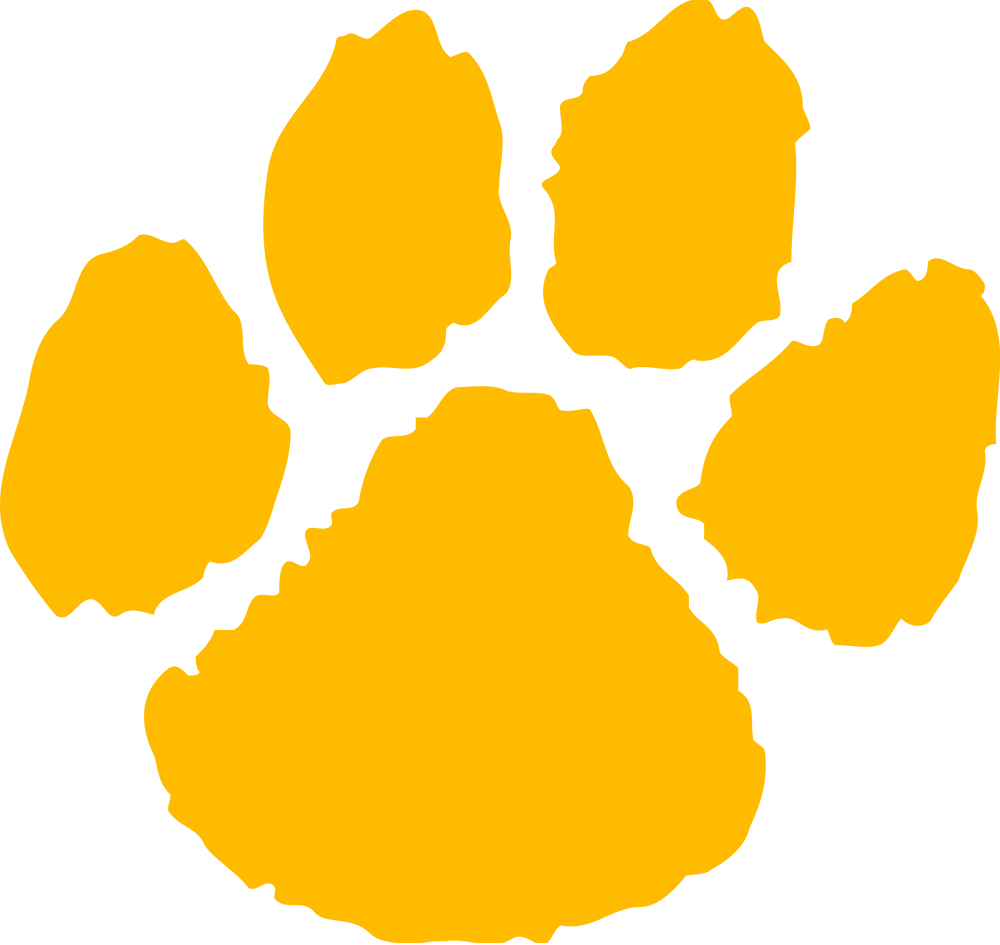 Use Of Logos - Gold Paw Print Transparent (1000x945), Png Download