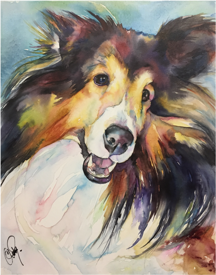 Sheltie Portrait Christystudios (1000x1270), Png Download