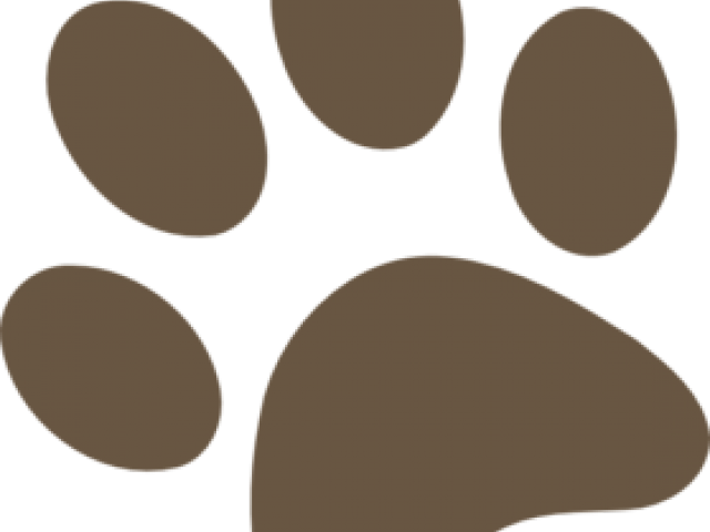 Paw (640x480), Png Download