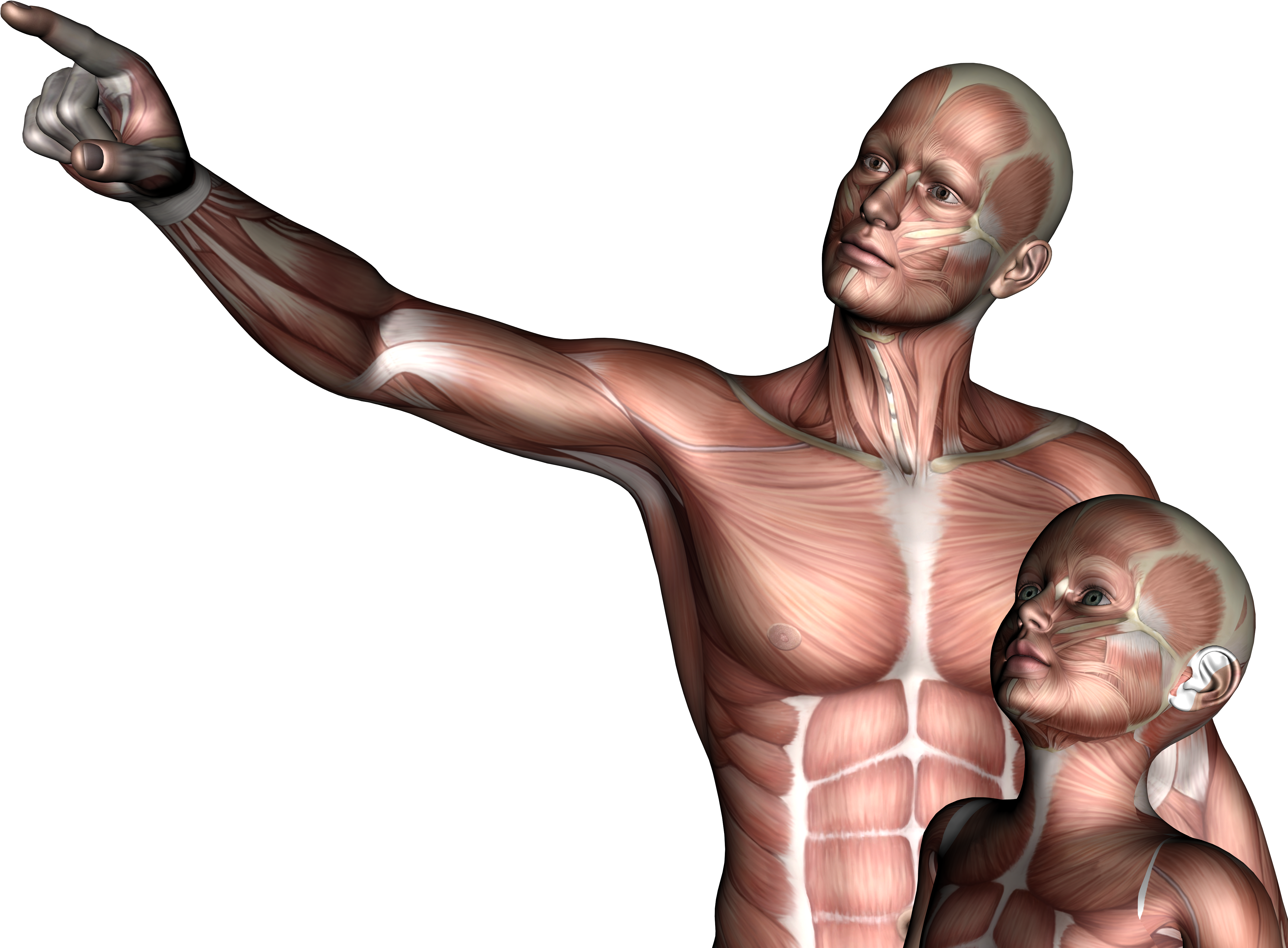 Father & Son (4846x3500), Png Download