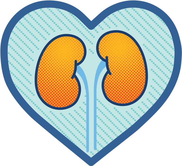 Osprey Medical And Ge Healthcare Launch New Educational - Insuficiencia Cardiaca Y Riñon (1010x806), Png Download