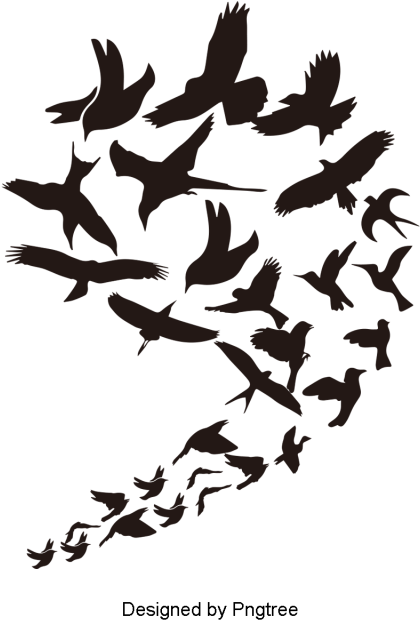 Birds Flying In The Air Are Lined Up With Beautiful - Bird (640x640), Png Download