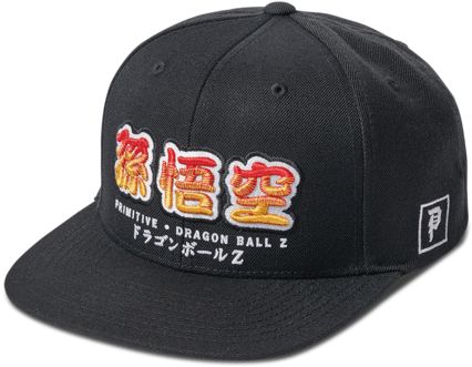 skyrim flat bill hat