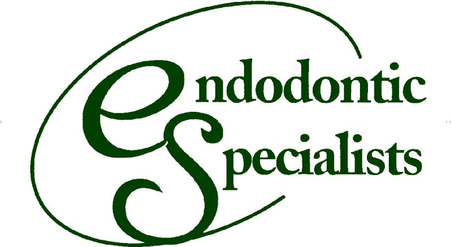 Endodontic Specialists (1024x627), Png Download