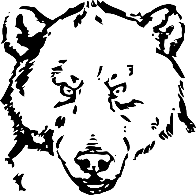 Head, Eyes, Face, Bear, Animal, Fur, Sketch, Silhouette - Bear Line Art (640x638), Png Download