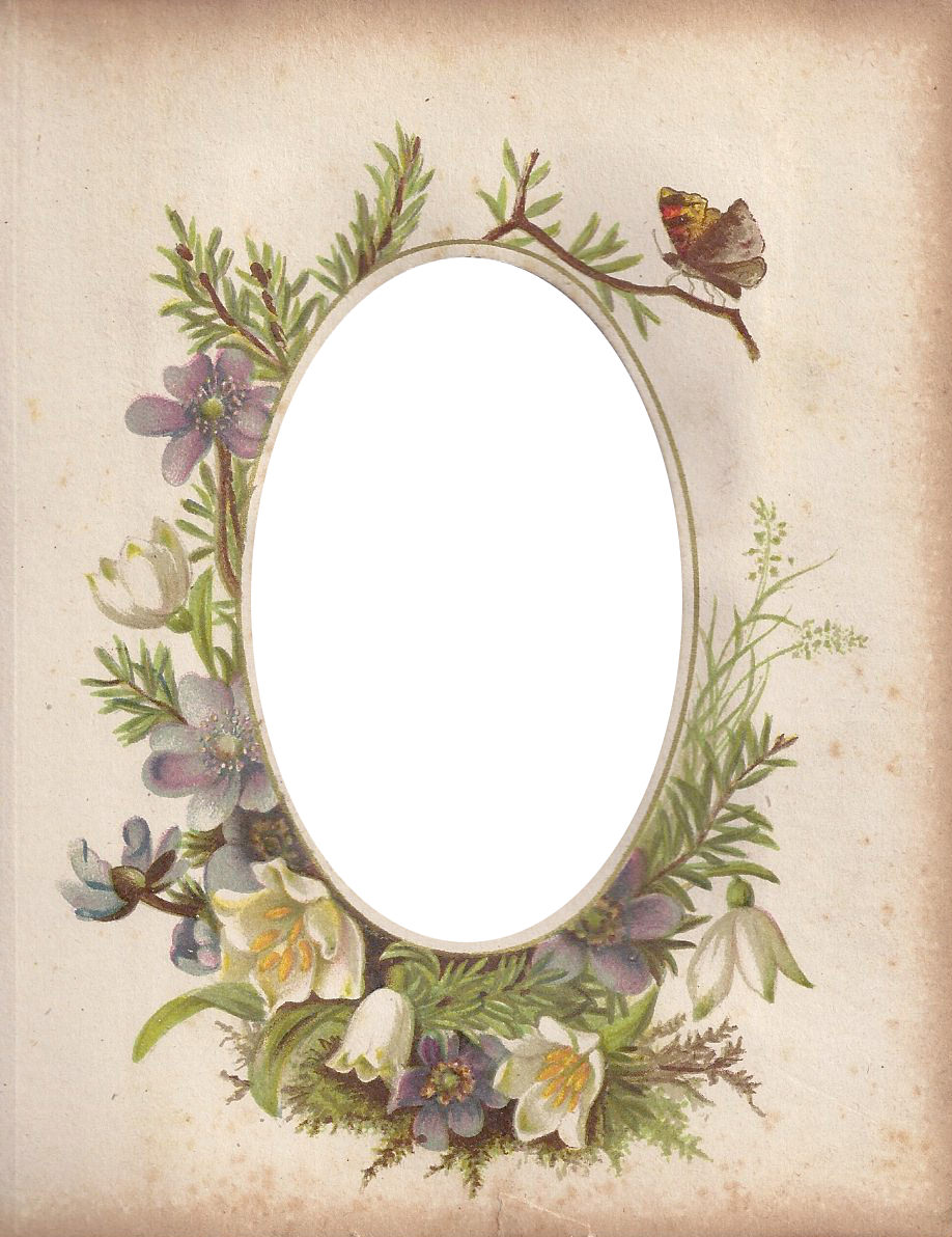 Victorian Photo Album Oval Floral Frame ~ Zibi Vintage - Frame Vintage Oval Floral Png (918x1192), Png Download
