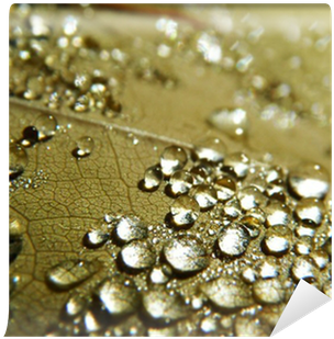 Px, File Size - Water (400x400), Png Download